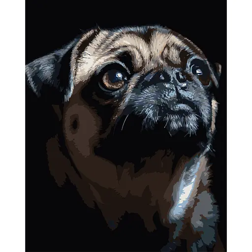 Картина по номерам Strateg Портрет мопса на черном фоне 40 х 50 см (AH1290) - фото 1