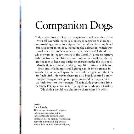 Dog Breeds: Characteristics, Breeds, Care, Origins - Джексон Том - фото 3