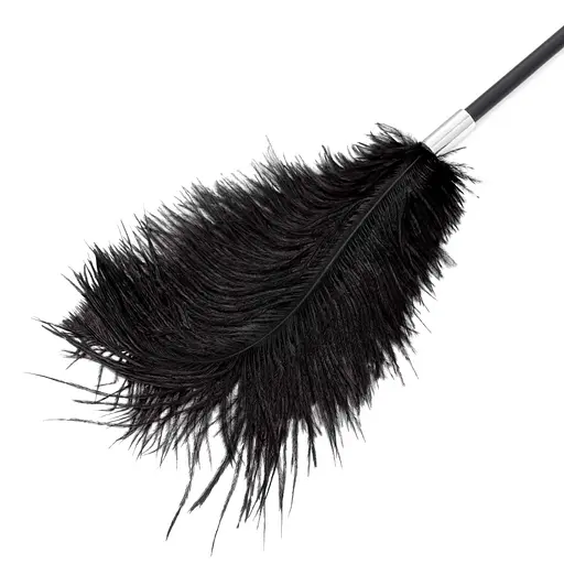 Стек Fetish B-Series Tickler Whip 1.0, 43.5 см (черный) - фото 3