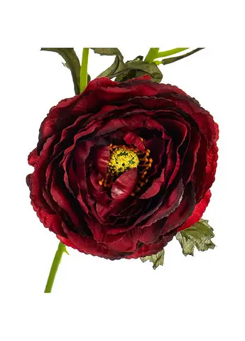 Букет искусственный "Ранункулюс", 65 см бордовый Elisey 8114-020 - фото 2