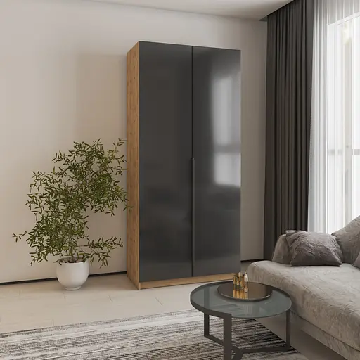 Шкаф 2-дверный MebelStar Оскар Gloss BL-B, дополнительная штанга 100x52x220 см Дуб тахо/Черный (MBS-5157) - фото 1