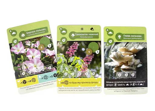 Настольная игра Ігромаг Земля (Earth) (укр.) (7511) - фото 14