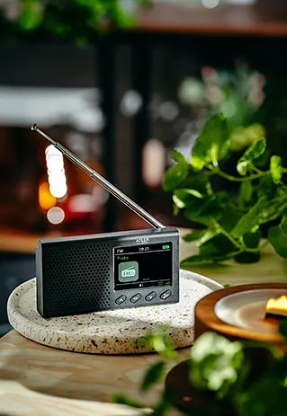 Портативная радиостанция - Часы Adler AD 1198 - фото 9