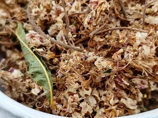 Каштан цвіт 25гр - фото 3