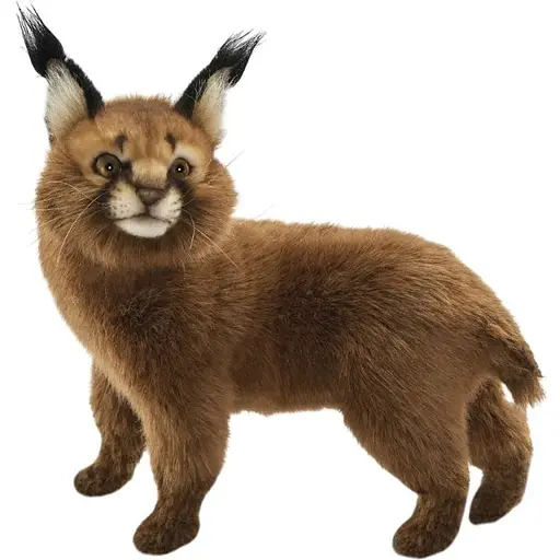 М'яка іграшка Hansa Кіт Каракал 30 см (7049)