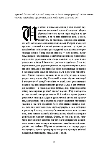 Мiсто Сонних книжок - фото 11