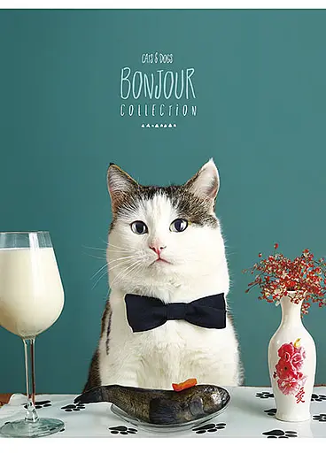 Комплект 4 шт загальних зошитів. Зошит Школярик А5 80 арк. у лінію 5069 4823088207798 - фото 5