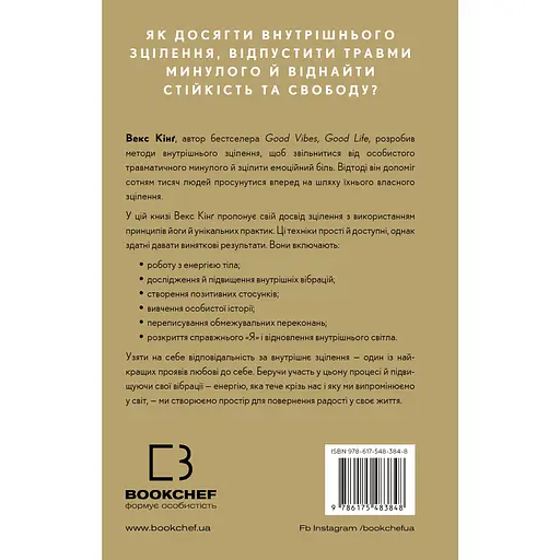 Healing Is the New High. Посібник із подолання емоційних потрясінь і здобуття свободи - Векс Кінґ - фото 2