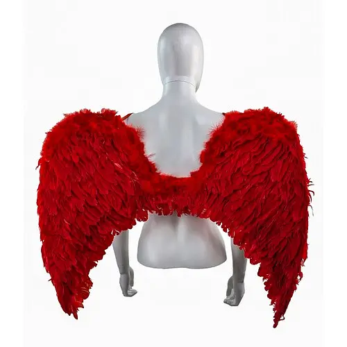 Крылья ангела - фото 1