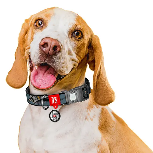 Ошейник для собак нейлоновый Waudog Nylon с QR-паспортом "Тень Бэтмена" пластиковый фастекс S Ш 15 мм Д 25-35 см - фото 6