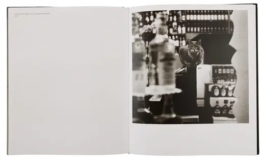 Пітер Гуджар: Ріальто - фото 3