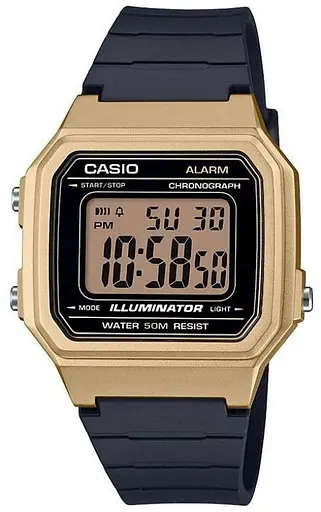 Годинник Casio W-217HM-9AVEF