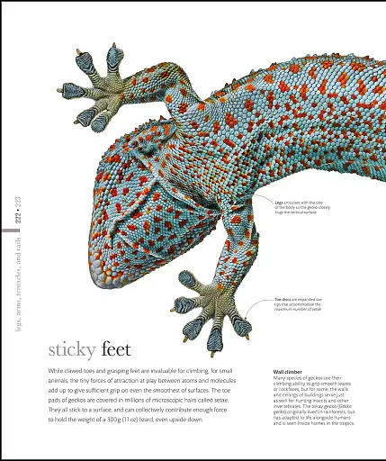 The Science of Animals - фото 23