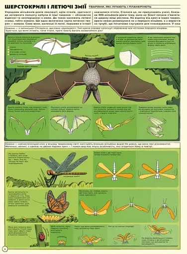 Але високо! Мальована історія авіації - фото 4