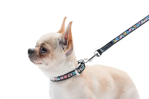 Нашийник для собак шкіряний Waudog Design з QR-паспортом "Пончики" XXS Ш 12 мм Д 18-24 см чорний - фото 6