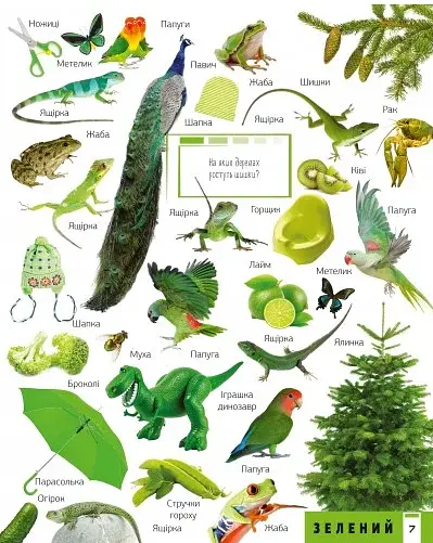 500 перших слів. Вивчаємо кольори розвиваємо увагу - фото 7