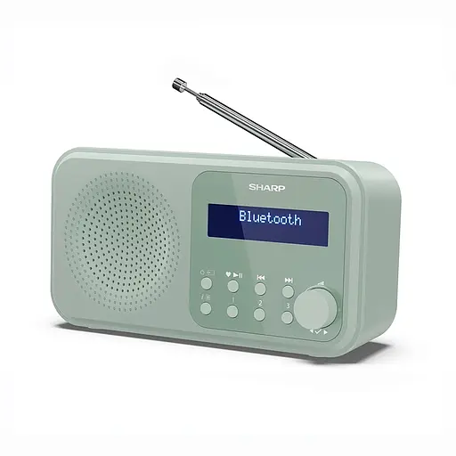 Радиоприемник Sharp DR-P420 Green - фото 1