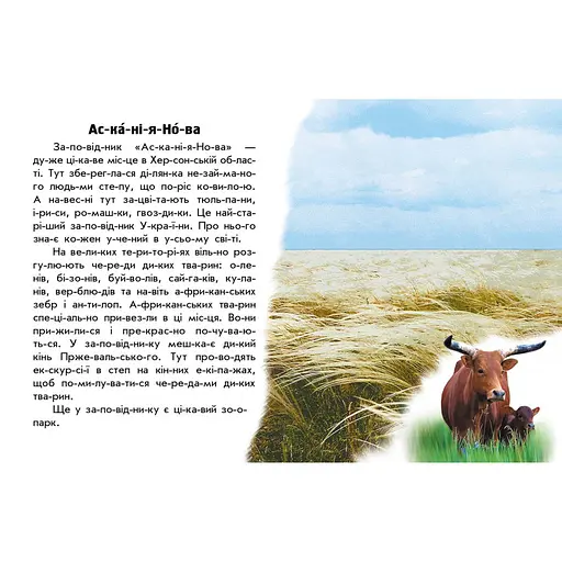 Читаю про Україну по складах "Парки та заповідники" 366018 з кольоровими ілюстраціями - фото 4