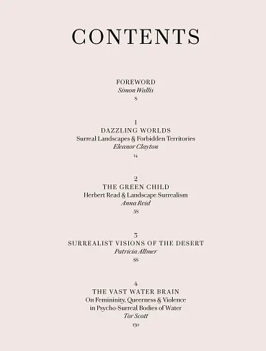 Forbidden Territories. 100 Years of Surreal Landscape - фото 6