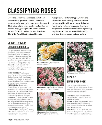 Grow Roses. Essential Know-how and Expert Advice for Gardening Success - фото 5
