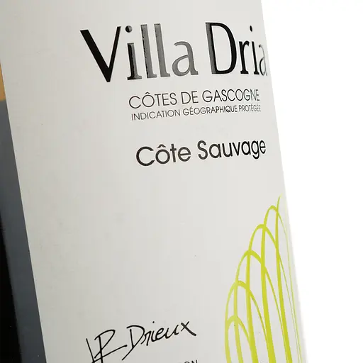 Вино Villa Dria Colombard-Sauvignon Igp Cotes De Gascogne, белое, сухое, 0,75 л (917839) - фото 5