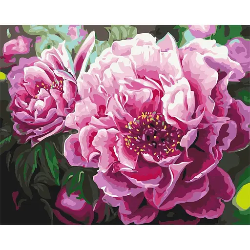 Картина по номерам Роскошные пионы Brushme 40x50 см разноцветная 000220974