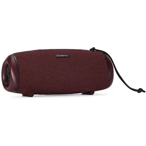 Акустика Sounarc R1 IPX6 BT5.3, AUX/TF, 40W, TWS, 16h Max - фото 1