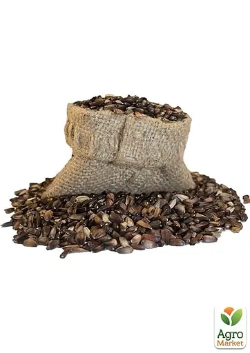 Мальва "Махровая смесь" Весна 1г (33085) - фото 2