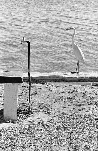 Personal Best - фото 3