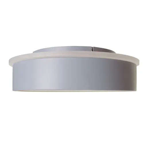Світильник настінно-стельовий для ванної Brille WBL-46C/47W - фото 4