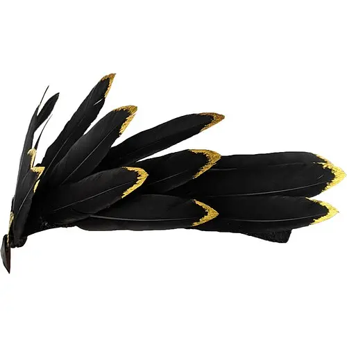 Тиара Феникс - фото 2