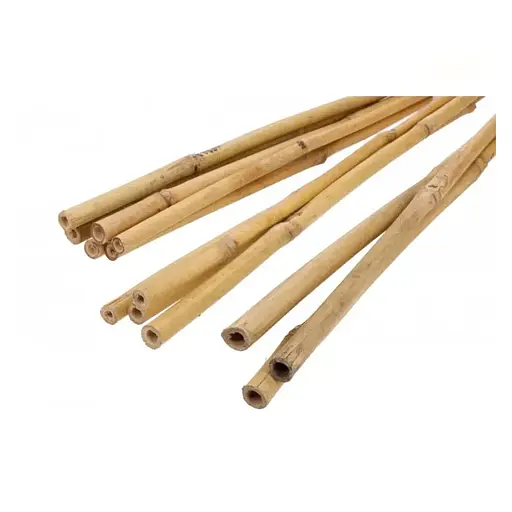 Бамбукові опори для рослин Elsa 60 см (BMB-60) - фото 3