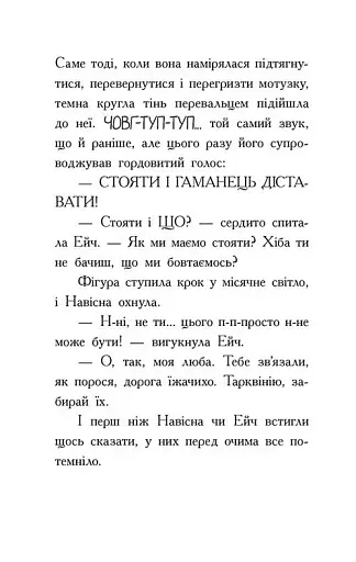 Агент Ласка та Їжачиха з Великої дороги. Книга 4 - фото 7