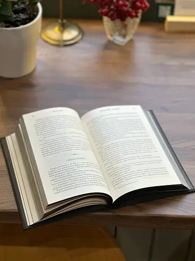 Ніби ми злодії - фото 4