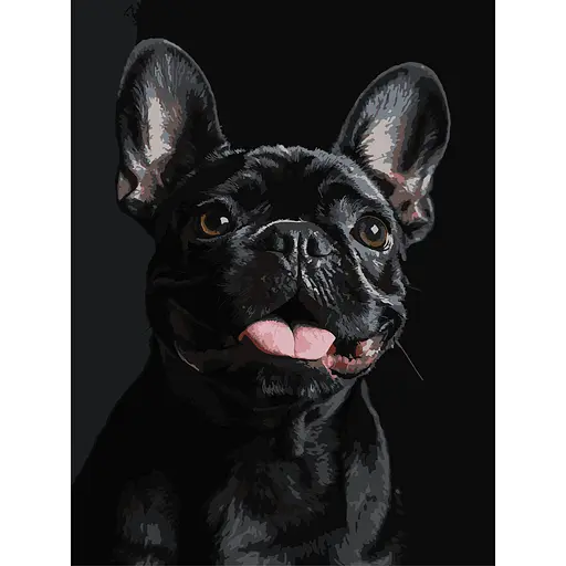 Картина по номерам Strateg Французский черный бульдог на черном фоне 30х40 см (FH-32) - фото 1