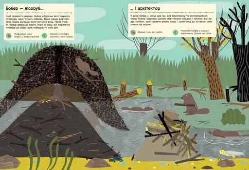 Моя книга природи: Річка і ставок - фото 2