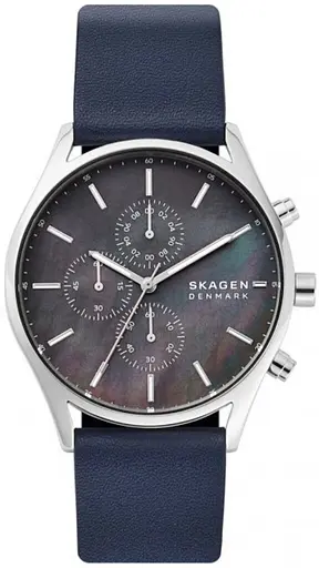 Часы Skagen Holst SKW6653