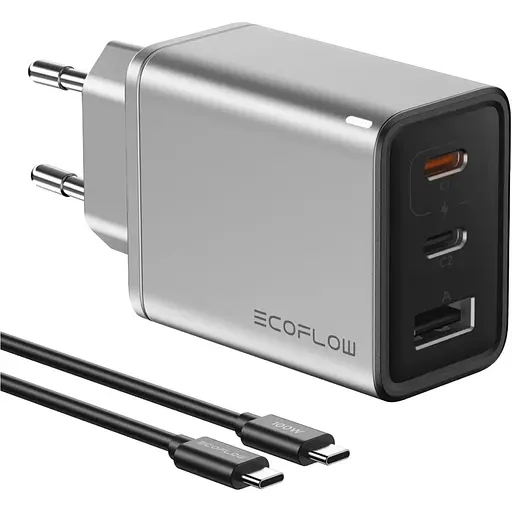 Сетевое зарядное устройство EcoFlow Rapid Charger 65W + Cable Type-C to Type-C (EFA-65W-GAN-CHARGER-EU) [122273]