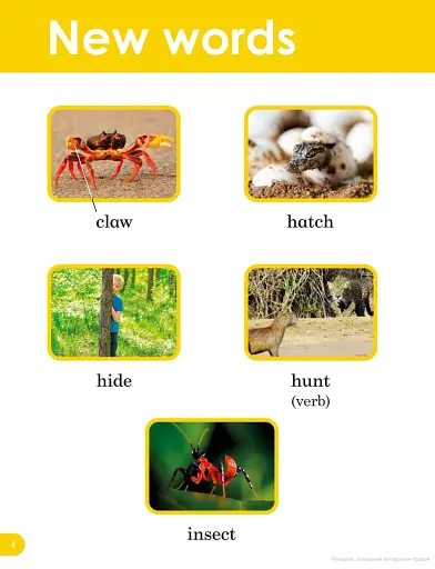 Do You Know? Level 1 Animal Sounds. BBC Earth - фото 3