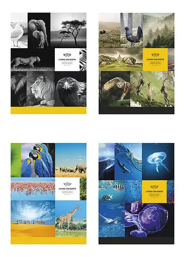 Комплект 4 шт загальних зошитів. Зошит Школярик А5 80 арк. у лінію 5057 4823088207736 - фото 1