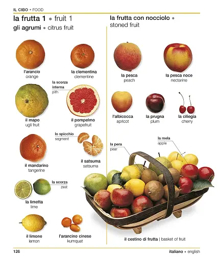 Словник Italian-English Visual Bilingual Dictionary with FREE Audio APP - фото 4