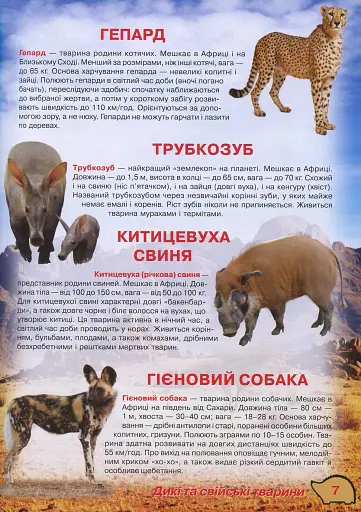 Ілюстрований атлас живої природи - фото 6