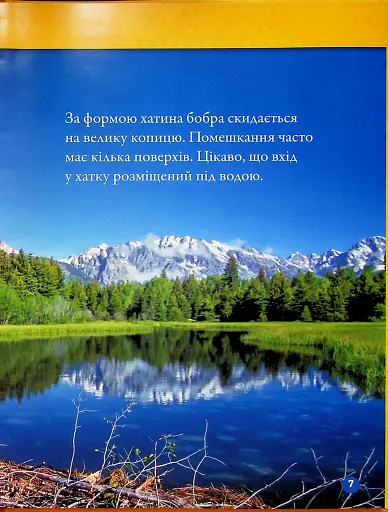 Тварини-будівники - фото 3