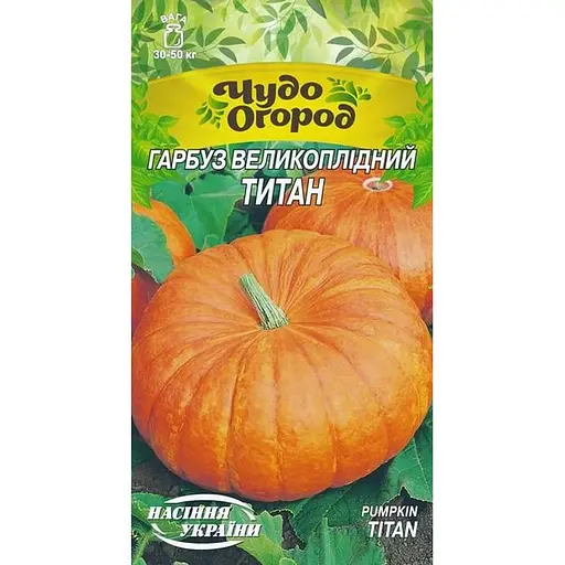 Семена Тыква Насіння України Титан крупноплодный 2 г (667260)