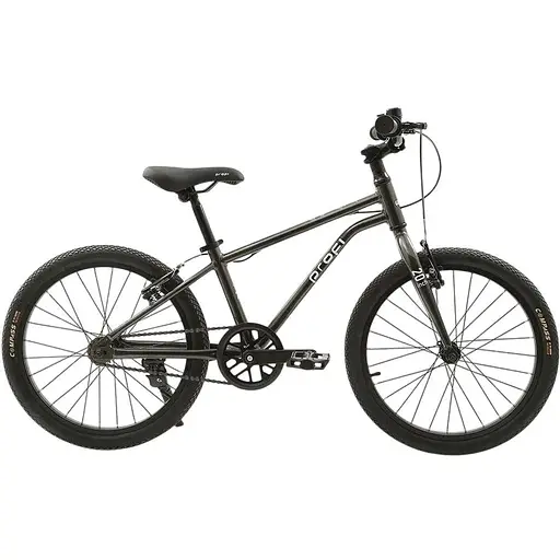 Велосипед Profi MB 20LIGHTY Dark Grey 20" підніжка дзвоник захист ланцюга чорний