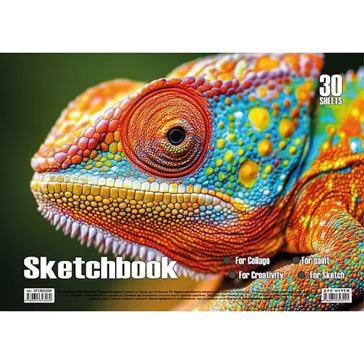 Альбом для рисования Хамелеон Jumbi KT13022504 пружина 30 листов - фото 1