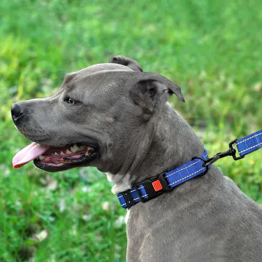 Поводок для собак Barksi Active 152х2.5 см синий - фото 7