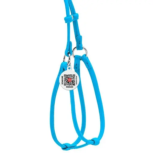 Шлея з повідцем для собак Waudog Glamour шкіряна з QR паспортом, кругла, блакитний - фото 2