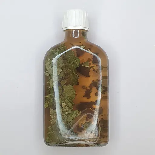 Водная настойка на листьях черной смородины 200 мл - фото 2