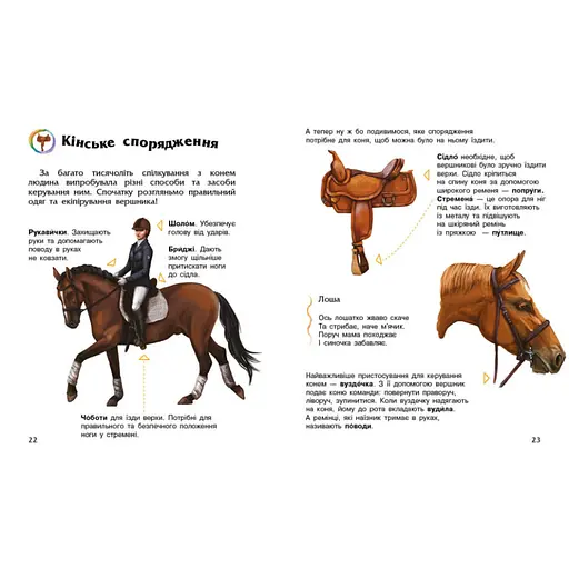 Енциклопедія дошкільника Коні 614037 для найменших - фото 2